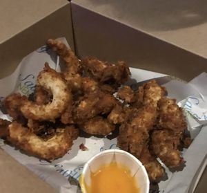   at Saving Nemo in Darlington