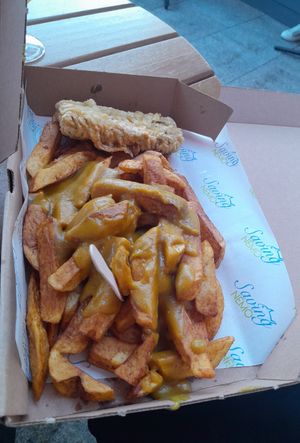  at Saving Nemo in Darlington