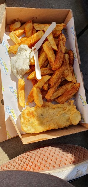  at Saving Nemo in Darlington