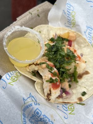 ‘Shrimp’ taco  at Saving Nemo in Darlington