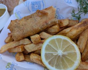  at Saving Nemo in Darlington