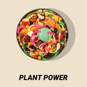 Plant power bowl vegan at Gym Cook in Munich
