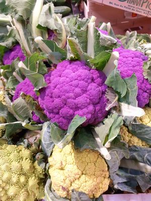  at Naturalia - Enfants Rouges in Paris