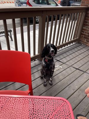 Dog friendly and vegan options! They have vegan cheese and vegan chorizo.  at NachoRita in Lombard