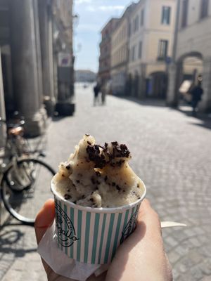   at Portogallo in Padua