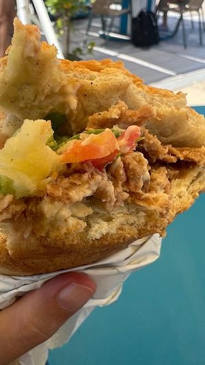 Fake meat pita  at Kantina Antonis Rena in Kos