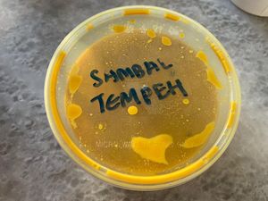 Sambal Tempeh at Savor of Life in Kuala Lumpur