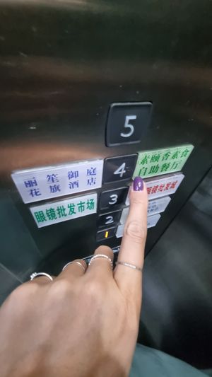 you have to go to the fourth floor at Sù yǐ Xiāng SùShí 素颐香 in Chongqing