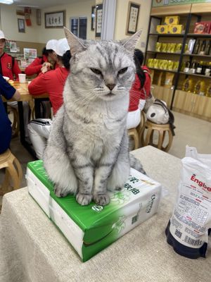   at Sù yǐ Xiāng SùShí 素颐香 in Chongqing