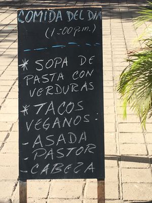 the meal of the day at Verde Limón in Manzanillo