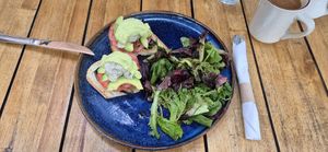 Sun Benedict at Green Zebra Cafe - Main St in Sarasota