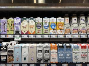 Vegan milks   at Woodlands Market in Kentfield