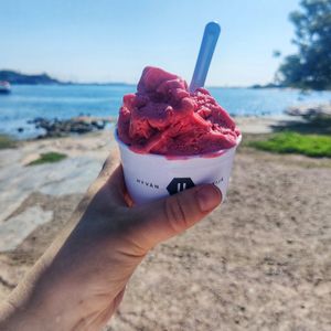Raspberry sorbet at Café Ursula in Helsinki