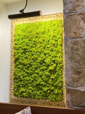   at Ca n'Ela Vegan Restaurant in Mallorca