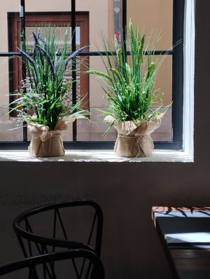 View at Ca n'Ela Vegan Restaurant in Mallorca