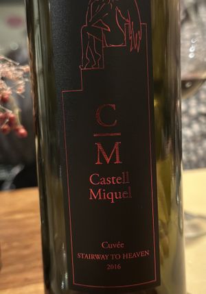 My new best friend - wine from Mallorca  at Ca n'Ela Vegan Restaurant in Mallorca