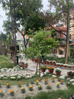   at Nourish by Avata in Kathmandu