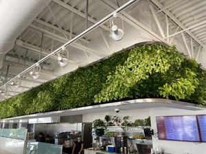   at Carrot Express in Boca Raton