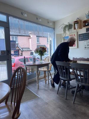 View from inside 😬 at Willows Tea Room in Barnstaple