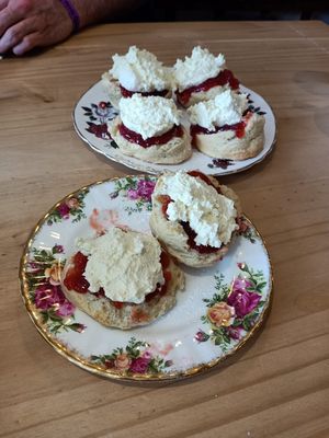 Cream Teas at Willows Tea Room in Barnstaple
