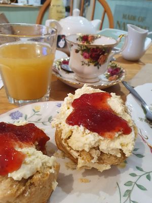  at Willows Tea Room in Barnstaple