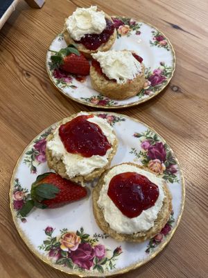   at Willows Tea Room in Barnstaple