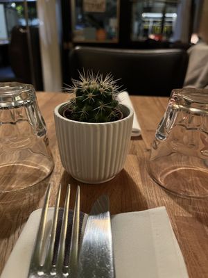 Nice decor   at Burritos Hermanos in Paris