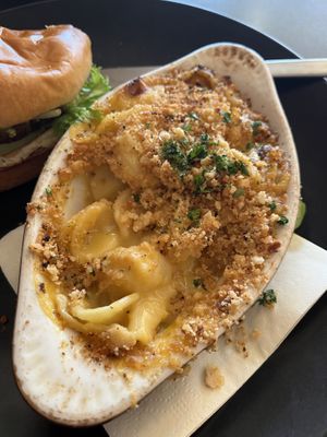 Best mac and cheese I’ve ever had in my five years of being vegan   at Root and Press in Worcester