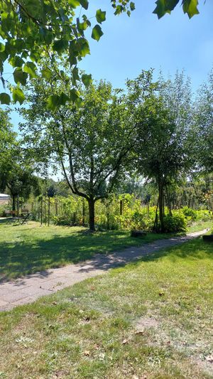 The view over the allotment garden. at De Ommuurde Tuin in Renkum