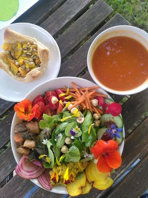 Salade, tartelette en soepje at De Ommuurde Tuin in Renkum