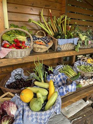   at De Ommuurde Tuin in Renkum