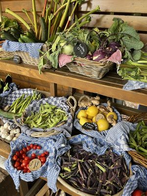   at De Ommuurde Tuin in Renkum