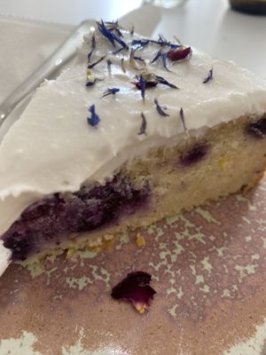 Blueberry cake  at 269 Vegan in Dunfermline