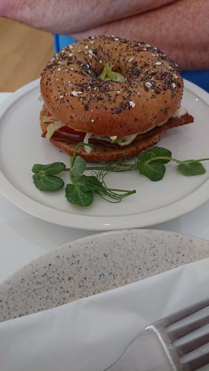 LGBT Bagel at 269 Vegan in Dunfermline