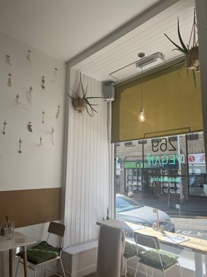   at 269 Vegan in Dunfermline