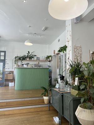   at 269 Vegan in Dunfermline