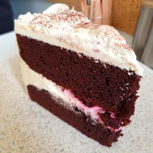This blackberry earl grey chocolate sponge cake was out of this world. at 269 Vegan in Dunfermline