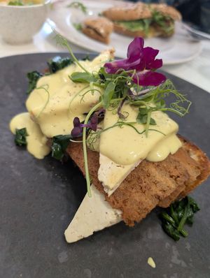  at 269 Vegan in Dunfermline