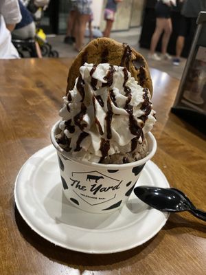Vegan ice cream cup  at The Yard Milkshake Bar in Panama City Beach