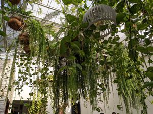 Patio at Samadhi in San Jose