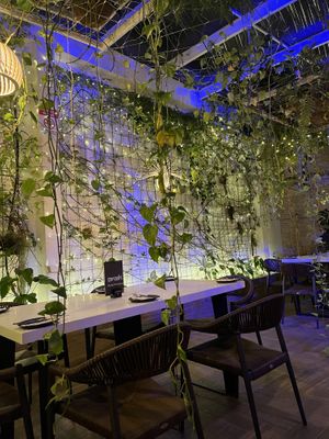   at Samadhi in San Jose