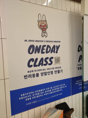 They run programs to raise funds for stray animals at BB Coffee Roasters in Seoul