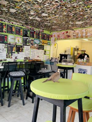 Interior  at Les Amis in Playa Del Carmen