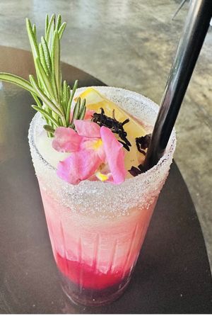 Hibiscus margarita   at Casa Del Vegano in Dallas