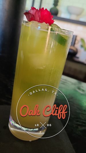  at Casa Del Vegano in Dallas