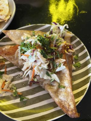 The wonton taco was creative and delicious   at Casa Del Vegano in Dallas