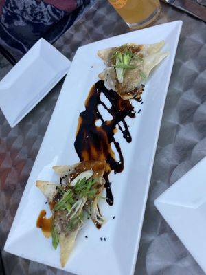 Potstickers (the only menu item we tried that felt smaller than expected) at Rock da Casbah in Saugerties