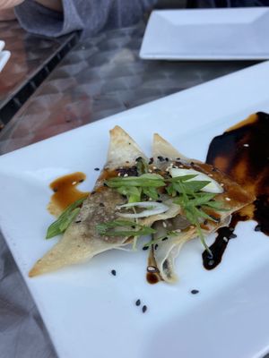 Potstickers up calose  at Rock da Casbah in Saugerties