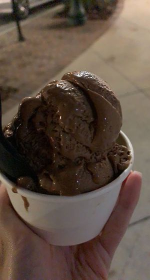 Chocolate mousse (oat based ice cream) at Main Street Creamery in Sarasota
