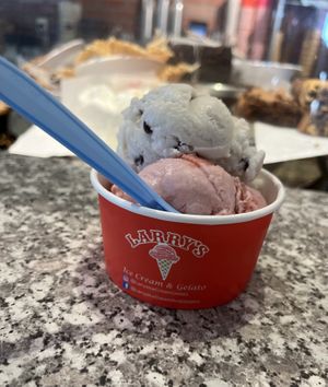 Vegan Mint Chip and Strawberry Ice Cream  at Larry's Ice Cream & Gelatos in St Pete Beach